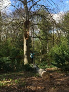 Feriengrüße aus Berlin draußen im Tiergarten von Carolin