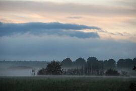 Herbstnebel von Carolin S. zum Thema Herbst