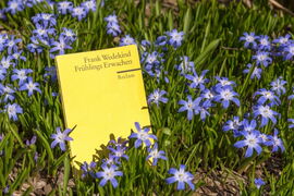Frühlings Erwachen - literarisch genommen